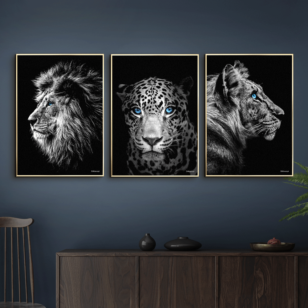 Løve-Jaguar-Tiger-Messing-Plakatrammer-50x70