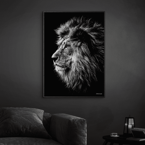 Løven-i-sort-plakatramme
