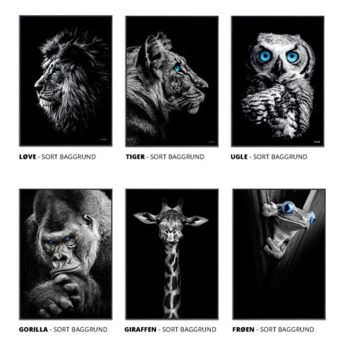 Plakater-Sortiment-Ditkoncept