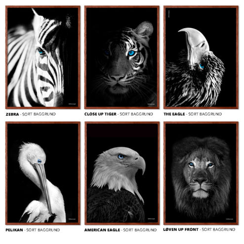 Sortiment-DitKoncept-6