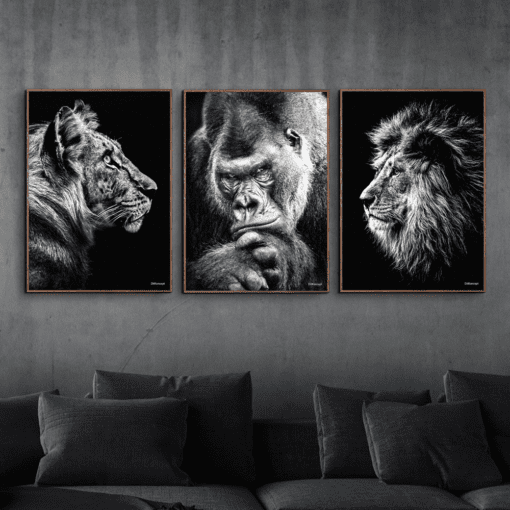 Tiger-Gorilla-Løve-Brune-Plakatrammer 50x70