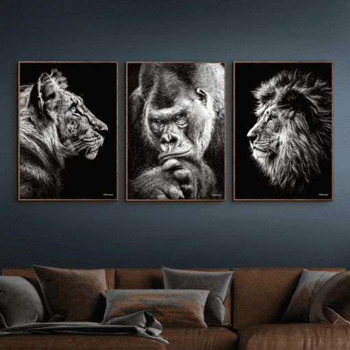 Tiger-Gorilla-Løve-Brune-Plakatrammer-50x70