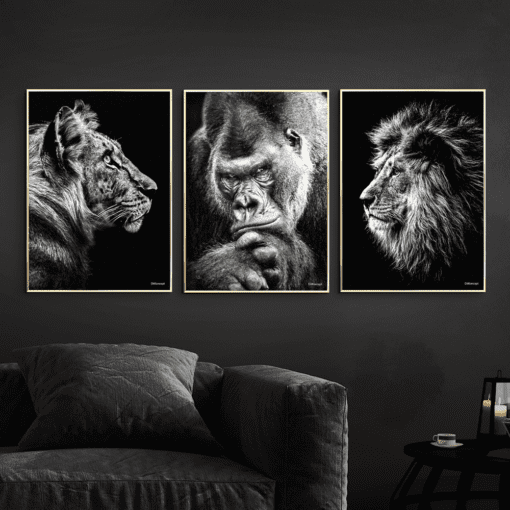 Tiger-Gorilla-Løve-Messing-Plakatrammer-50x70
