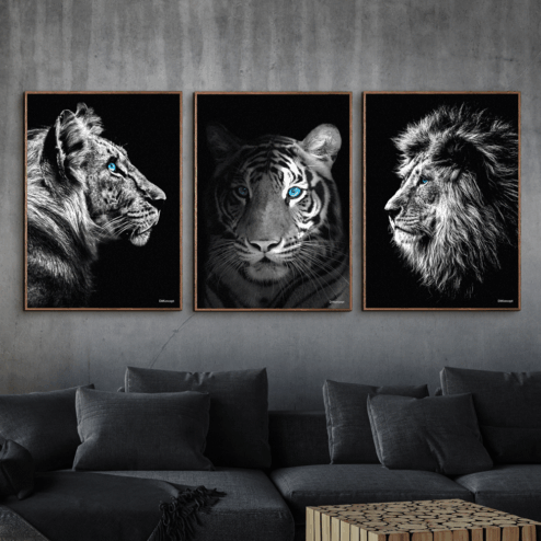 Chimpanse-Close-Up-Tiger-Løve-Brune-Plakatrammer