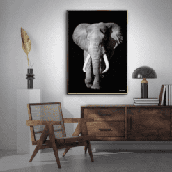 Elefant-Messing-Plakatramme