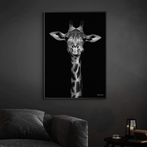 Giraf-Sort-Plakatramme-Eg