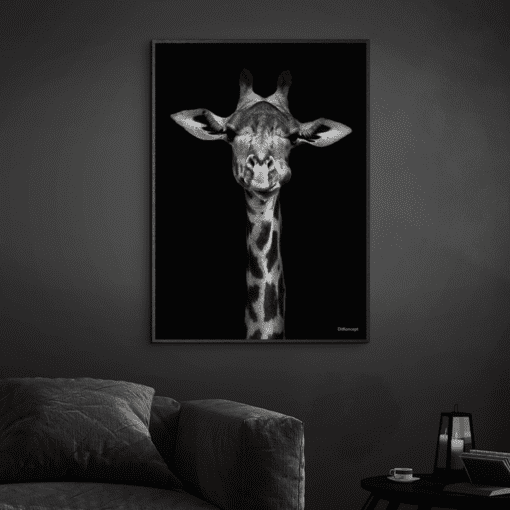 Giraf-Sort-Plakatramme-Eg
