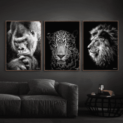 Gorilla-Jaguar-Løve-plakater