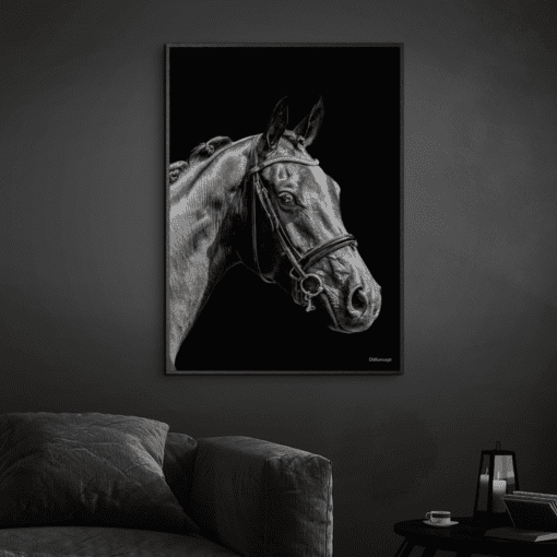 Hest-Sort-Plakatramme-Eg