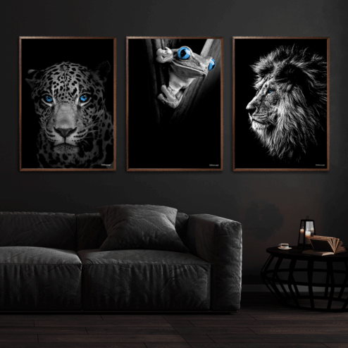 Jaguar-Frø-Løve-Plakat