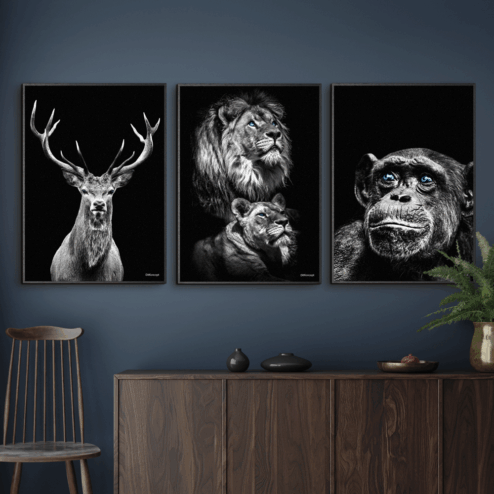 Kronhjort-Power-Couple-Chimpanse-Sorte-Plakatrammer