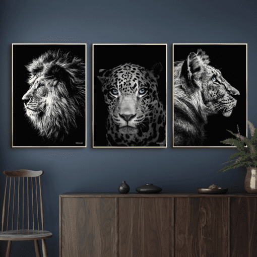 Løve-Jaguar-Tiger-Messing-Plakatrammer
