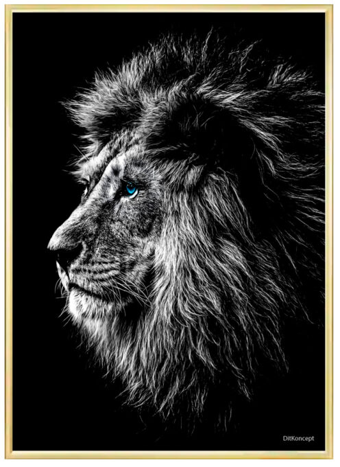 Løve-Plakat-Messing-plakatramme
