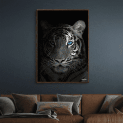 Close-Up-Tiger-Mørke-Brun-Eg-Plakatramme