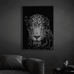 Jaguar-Sort-Plakatramme-Eg