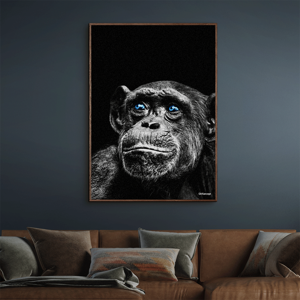 Chimpanse-Mørke-Brun-Eg-Plakatramme
