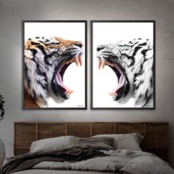 Color-Tiger-White-Tiger-2