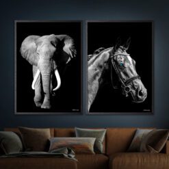 Elefant-Hest
