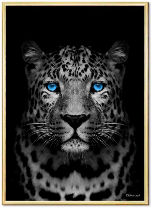 Gepard-Plakat-Messing-Ramme