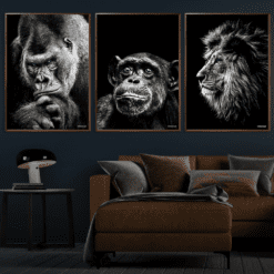 Gorilla-Chimpanse-Løve-Plakater-50x70