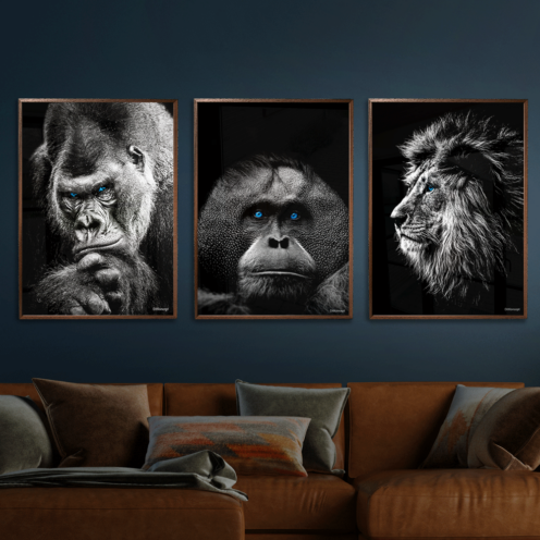 Gorilla-Orangotang-Løve-plakat