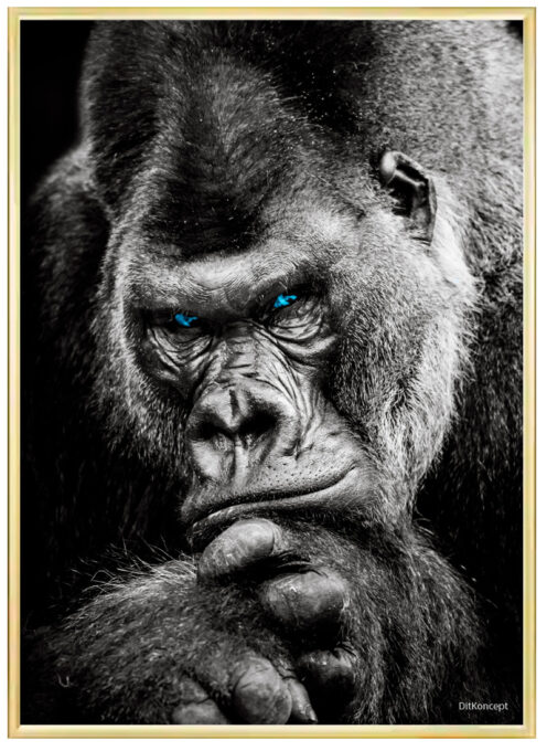 Gorilla-Plakat-Messing-Plakatramme