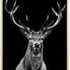 Hjort-Plakat-messing-Eg-Plakatramme