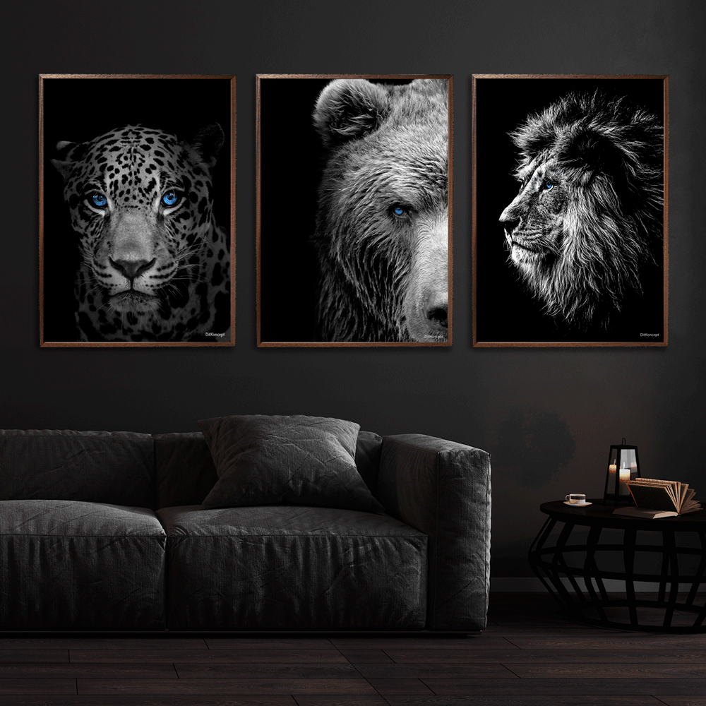 Jaguar-Bjørn-Løve