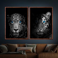 Jaguar-Close-Up-Tiger