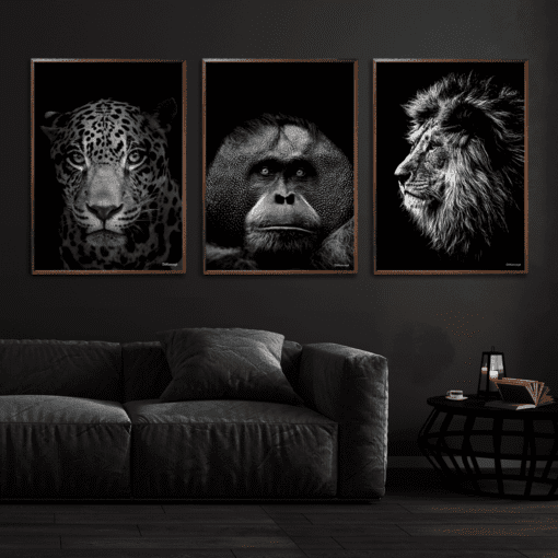 Jaguar-Orangotang-Løve-plakat