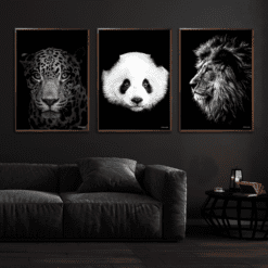 Jaguar-Panda-Løve