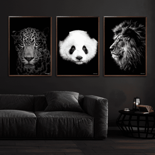 Jaguar-Panda-Løve