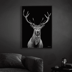 Kronhjort-Sort-Plakatramme-Eg