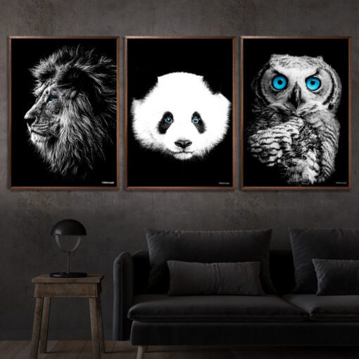Løve-Panda-Ugle