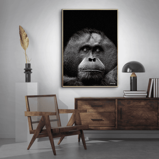 Orangutang-Messing-Plakatramme