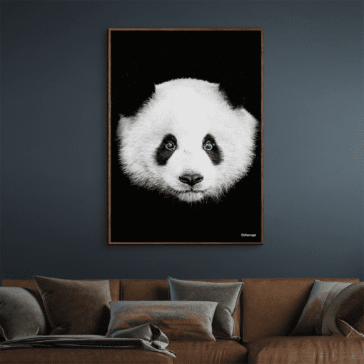 Panda-Mørke-Brun-Eg-Plakatramme