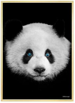 Panda-Plakat-Messing-Eg-Plakatramme