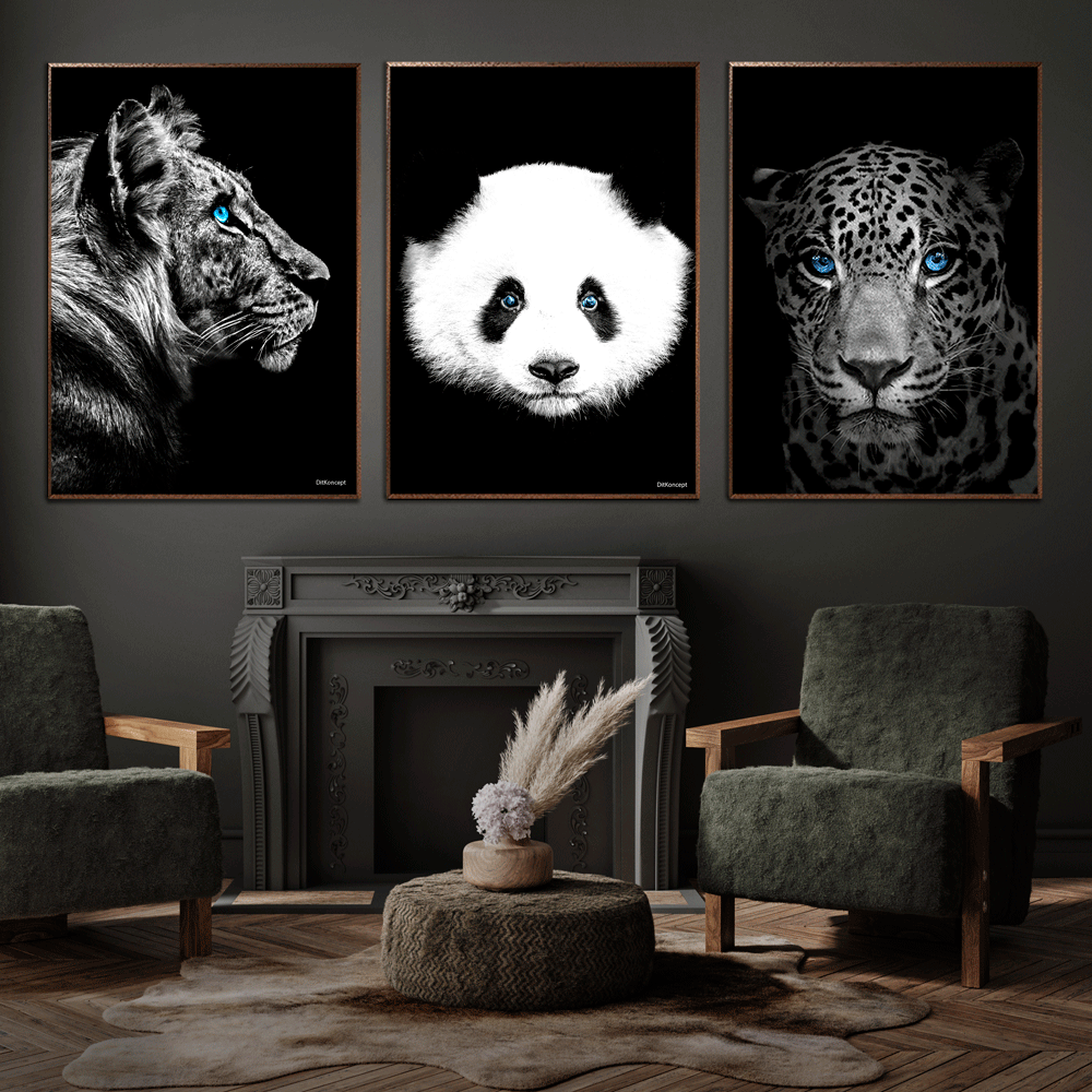 Panda-plakat-Tiger-Løve