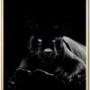 Puma-Plakat-Messing-Ramme