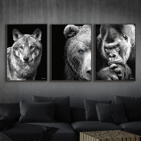 Ulven-Bjørn-Gorilla-Sort-Eg-Plakatrammer