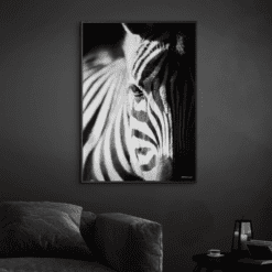 Zebra-Sort-Plakatramme-Eg