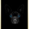French-bulldog-Messing-Plakatramme