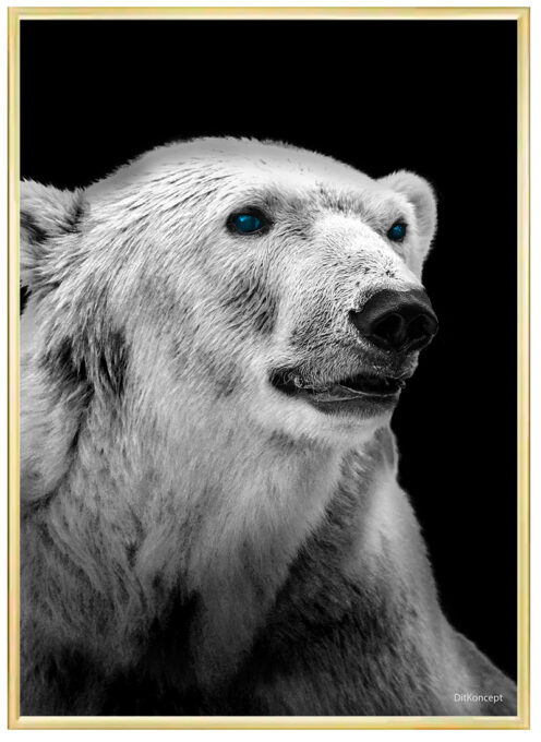 Isbjørn-Plakat-Messing-plakatramme