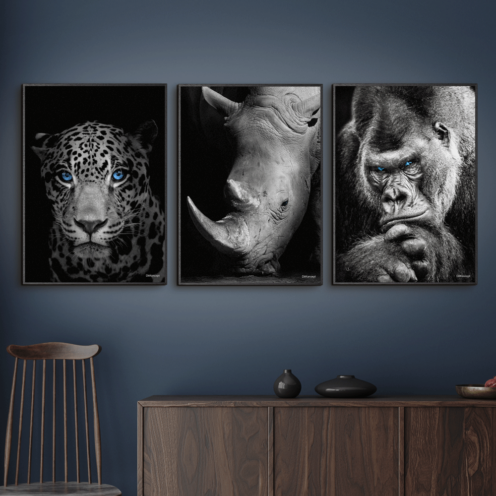 Jaguar-Næsehorn-Gorilla-Sort-Eg-Plakatrammer