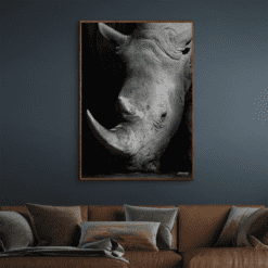 Næsehorn-Mørke-Brun-Eg-Plakatramme