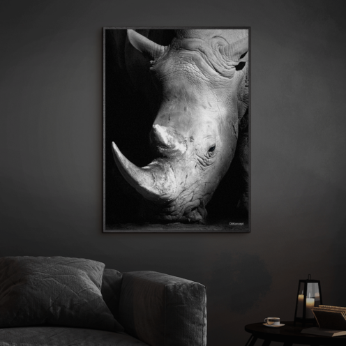 Næsehorn-Sort-Plakatramme-Eg