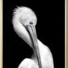 Pelikan-Plakat-Messing-Eg-Plakatramme