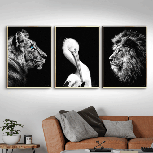 Tiger-Pelikan-Løve-Messing-Plakatrammer