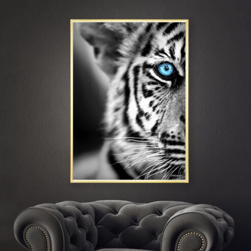 Tigerbarn-Messingramme