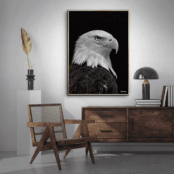 American-Eagle-Messing-Plakatramme